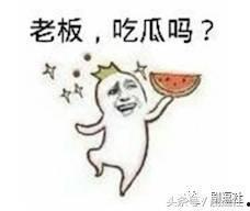 娱乐吃瓜酱取名大全